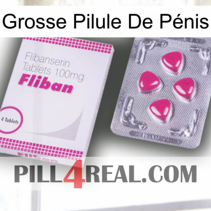 Grosse Pilule De Pénis 32